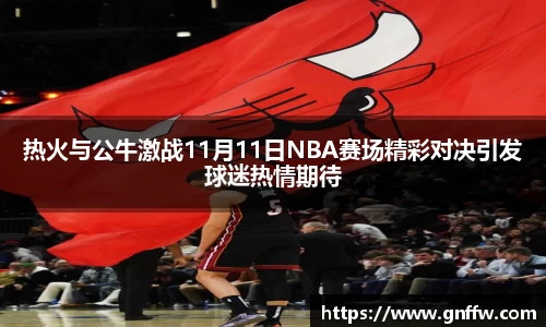 热火与公牛激战11月11日NBA赛场精彩对决引发球迷热情期待