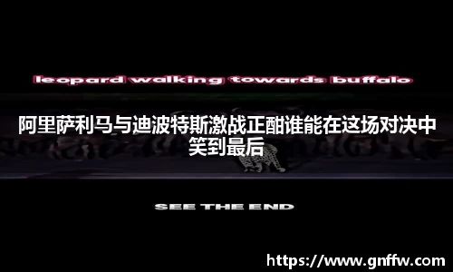 阿里萨利马与迪波特斯激战正酣谁能在这场对决中笑到最后